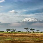 sergey-pesterev-DWXR-nAbxCk-unsplash